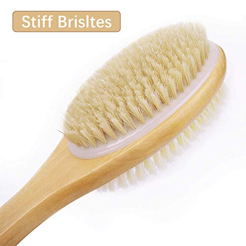 Metene Shower Brush with Soft and Stiff Bristles, Bath Dual-Sided Long  Handle Back Scrubber Body Exfoliator for Wet or Dry Brushing